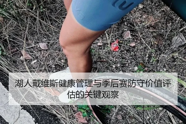 湖人戴维斯健康管理与季后赛防守价值评估的关键观察